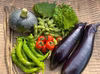 【6-7品】朝採り秋の野菜セット