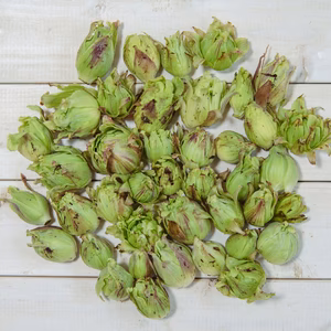 【天然物は香りが違う！！】春一番の贈り物　ほろ苦さがたまらない 天然ふきのとう