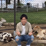 金子敦則