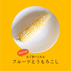 【生で食べられる】 フルーツ とうもろこし ・ フルーツ コーン