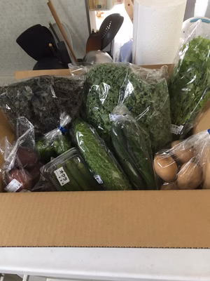 みんなの投稿の画像