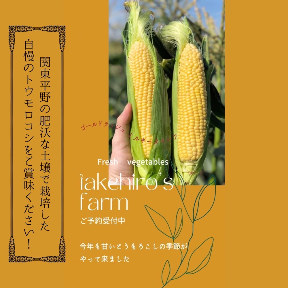 5月10 16日の生産現場から 小満の37投稿 農家漁師から産地直送の通販 ポケットマルシェ