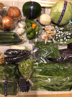 みんなの投稿の画像