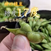 【早期予約20％増量中】生だだちゃ豆５kg　8月限定「糖度17度」「神の枝豆」