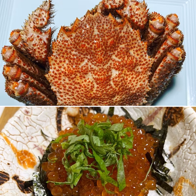 みんなの投稿の画像