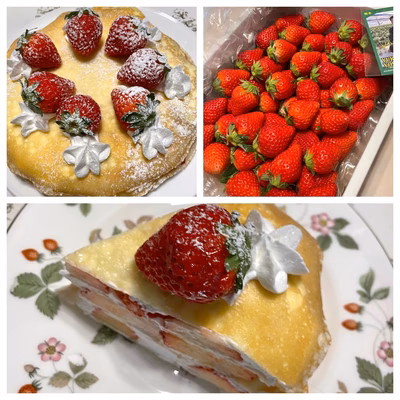 みんなの投稿の画像