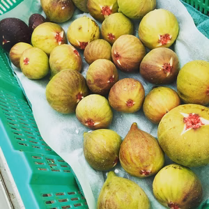 ※訳あり【尾道特産・秋の味覚！しまのいちぢく】