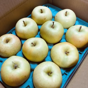 完熟トキ　家庭用　