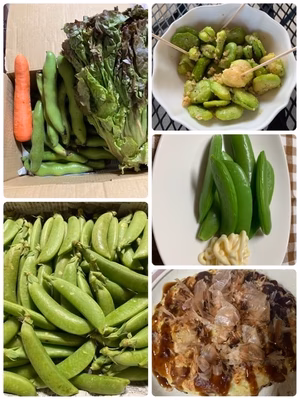 みんなの投稿の画像