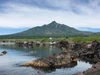 福袋【送料無料】北海道名産 海藻類 ８点セット