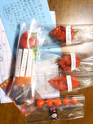 みんなの投稿の画像