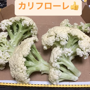 カリフローレセット