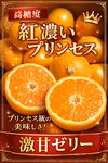 初出品セール　瀬戸内プリンセス　愛果48号　紅プリンセス同品種　農家直送