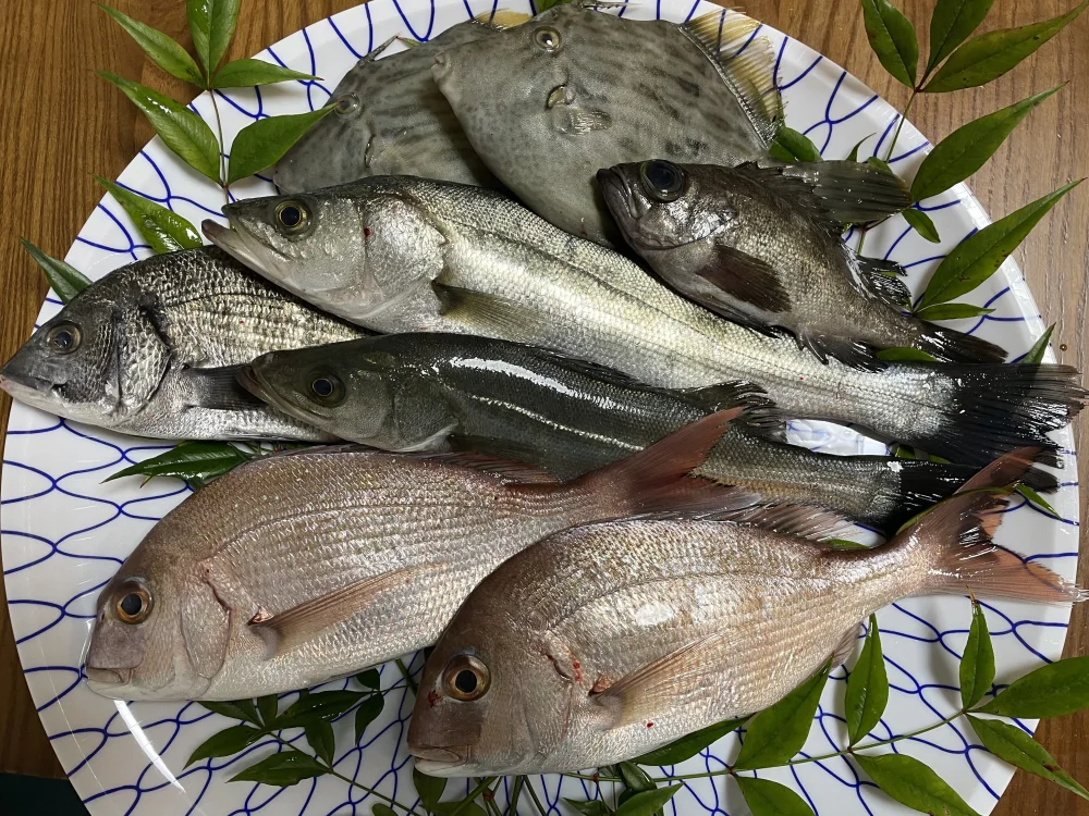漁師が激選！瀬戸内海の幸‼︎下処理済み2キロセット ｜魚介類の商品