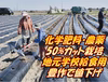 【地元学校給食指定】50％以上減・減栽培・新ジャガイモ「とうや」