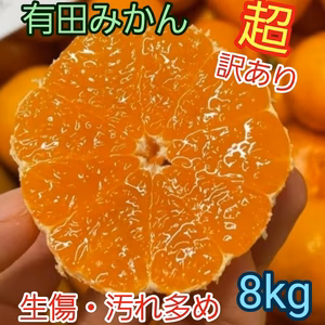 有田みかん『超 訳あり』8kg(箱込)【傷み保証込】