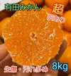 有田みかん『超 訳あり』8kg(箱込)【傷み保証込】