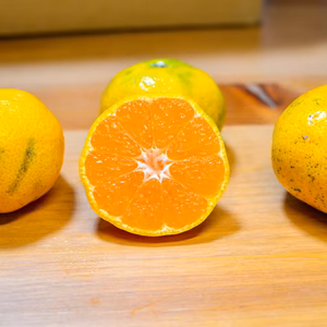 甘味が濃厚！ほどよい酸味の極上みかん［岩崎早生・訳あり］