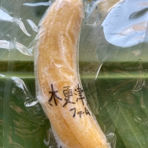 ひんやり甘い！！木更津ファーム産完熟冷凍皮むきバナナ500g詰め合わせ