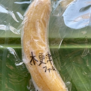ひんやり甘い！！木更津ファーム産完熟冷凍皮むきバナナ500g詰め合わせ
