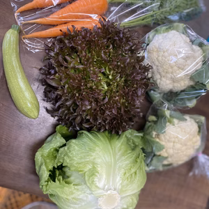 新鮮野菜 5品目 カリフラワー