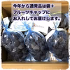 9月上旬【信州上田産ぶどう・種なし巨峰】約２kg(4〜5房)