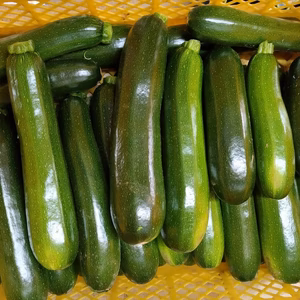 ズッキーニ★フードレスキュー