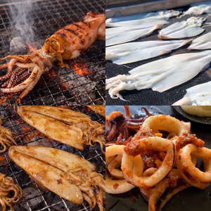 イカ４種☆豪華食べ比べセット