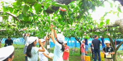 2017年のポケマル思い出アルバム ②渡邊直樹さん編