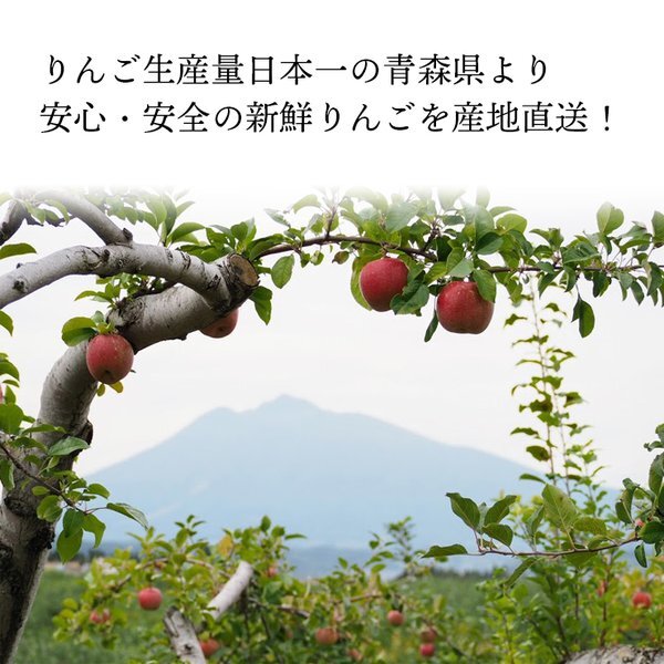 りんごミカン様 ❁ りんごミカン様 ❁
