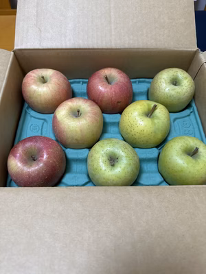 みんなの投稿の画像