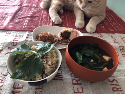 みんなの投稿の画像