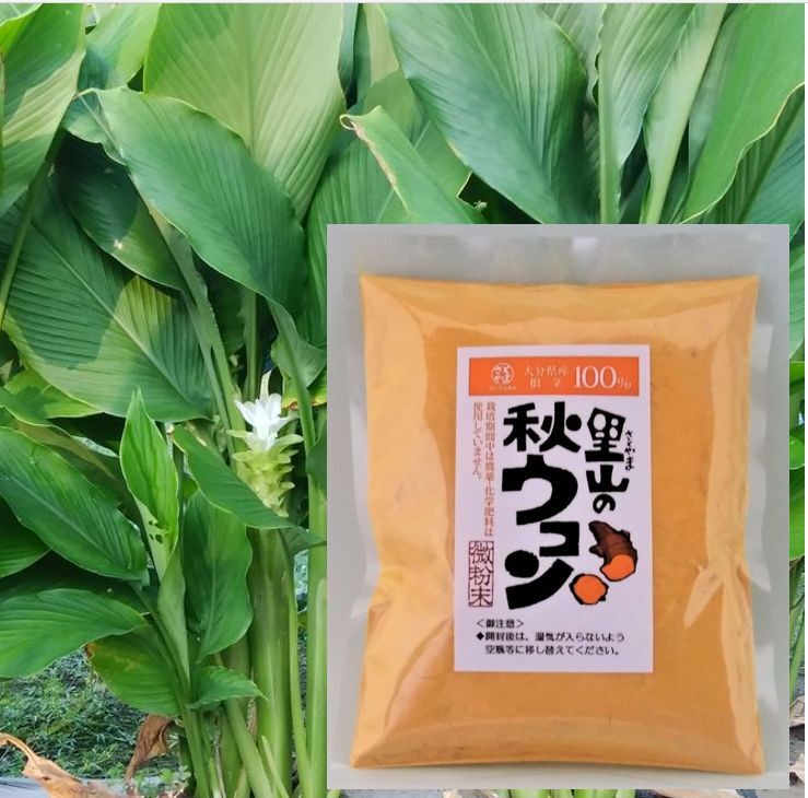 大分県産｜加工食品の商品詳細｜ポケットマルシェ｜産直(産地直送)通販　秋ウコン粉末　栽培期間中は農薬・化学肥料は使用せず　旬の果物・野菜・魚介をお取り寄せ