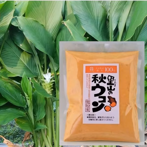 秋ウコン粉末　栽培期間中は農薬・化学肥料は使用せず　大分県産