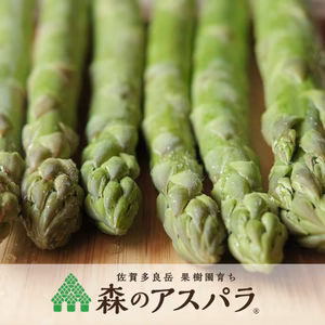 【森のアスパラ】ジューシーな佐賀県産！極太L~2Lサイズ