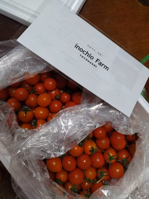 みんなの投稿の画像