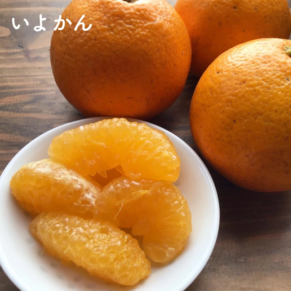 甘さ比べる、3種の柑橘セット【農薬不使用】