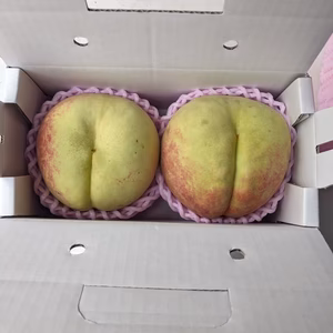 超極晩成品種「大寿蜜桃 」桃【数量限定】朝どり直送便