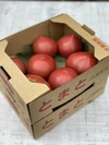 訳ありステビアトマト　1キロ箱×2