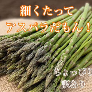 《3年越しの新品種！》グリーンアスパラ 【Ｓサイズ　ご家庭向き】