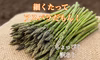 《3年越しの新品種！》グリーンアスパラ 【Ｓサイズ　ご家庭向き】