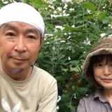 塩谷 学 | おおとよ塩かえる農園