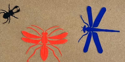 【つながるポケ○（マル）日記】レスキュ〜！規格外商品でフードロス削減に取り組むーきくらげ農家・副島耕一さんー