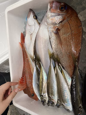 みんなの投稿の画像