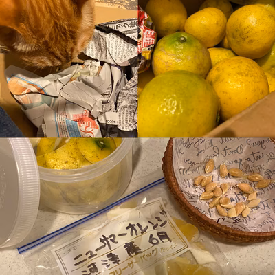 みんなの投稿の画像