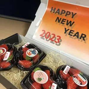 【福袋2023】　イチゴ４品種食べ比べセット