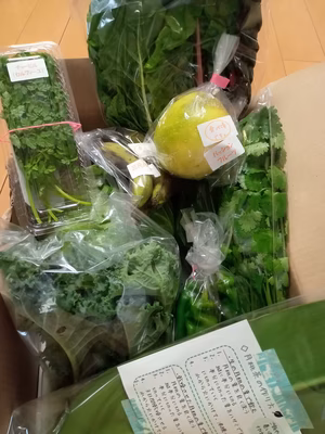 みんなの投稿の画像