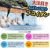 「応援企画」増量！宗像のあかもく ネバネバ海藻
