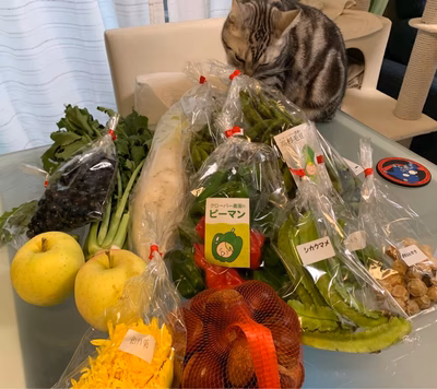 みんなの投稿の画像