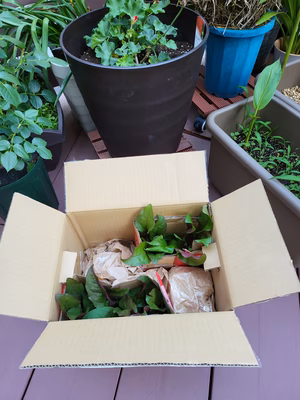 みんなの投稿の画像